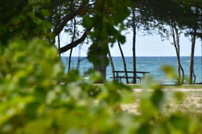 Adrians Wasaga Beach